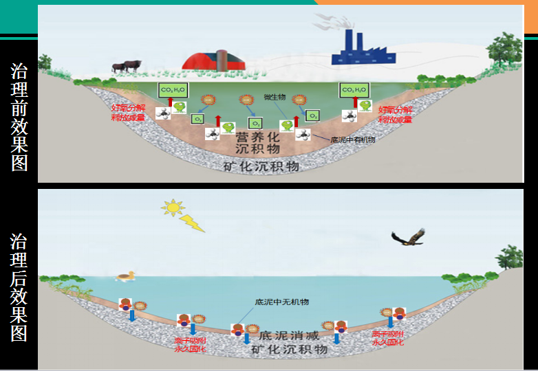 对比.png